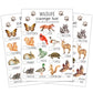 Ltazhyi Wildlife Scavenger Hunt Cards Set Of 30 Pcs, Nature Treasure Hunt Game For Family Friends, Outdoor Holiday Party Game Fi