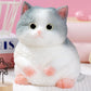 Cute Cat DIY Squeeze Toy, Hyperreal Kawaii Cat Simulation Lovely Toy Squeeze Autism Toy Squishy Stress Relidf Toy, Silicone Pinc