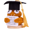 Cofubcad 2025 Graduation Gift Emotional Support Cucumber Graduation Cap Gift, Cute Knitted Crochet Cucumber Doll With Doctoral Hat Toy With Room Decoration(A6)