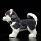 Zhongxin Made Alaskan Dog Stuffed Animal - 12Inch Cute Alaskan Malamute Plush Toy, Lovely Dog Plush Toy Model As Gift Toy Gift Collection For Kids