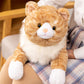 Litence Cat Weighted Plush Toy, 21" Orange Cat Pillow, 3.9 lbs Realistic Stuffed Animal for Kids, Cute Kitten Gift