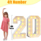 4Ft Light Up Numbers 20 Mosaic Numbers Marquee Frame For 20Th Birthday Party Large Cardboard With Lights Pre-Cut Kit Cut-Out Thick Foam Board Sign Diy Decorations For Anniversary New Year Graduations