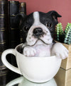 Ebros Gift Realistic Boston Terrier Teacup Pup In White Tea Cup Statue 5.75'' Tall Pet Pal Tuxedo Gentleman Puppy Dog Breed Coll