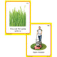 Super Duper Publications | Function Pair-Ups Photo Flash Cards | Identify And Describe Everyday Objects Fun Deck | Educational L