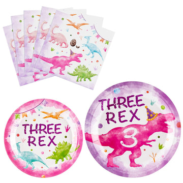 Wernnsai Dinosaur Party Tableware Set - 48 Pcs Watercolor Dinosaur Pink 3Rd Birthday Party Supplies Bundles For Girls Disposable Three Rex Plates And Napkins Dino Party Decorations Serves 16 Guests