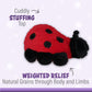 1I4 Group Warm Pals - Ladybug - Cozy Lavender Scented Plush Toys - Stuffed Animal - Coolable Bedtime Comfort Plushie