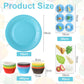 Jingmore 30 Sets Passover Seder Plate Craft Kits Include 30 Seder Paper Plates 300 Cupcake Trays 30 Food Cards 30 Seder Plate St