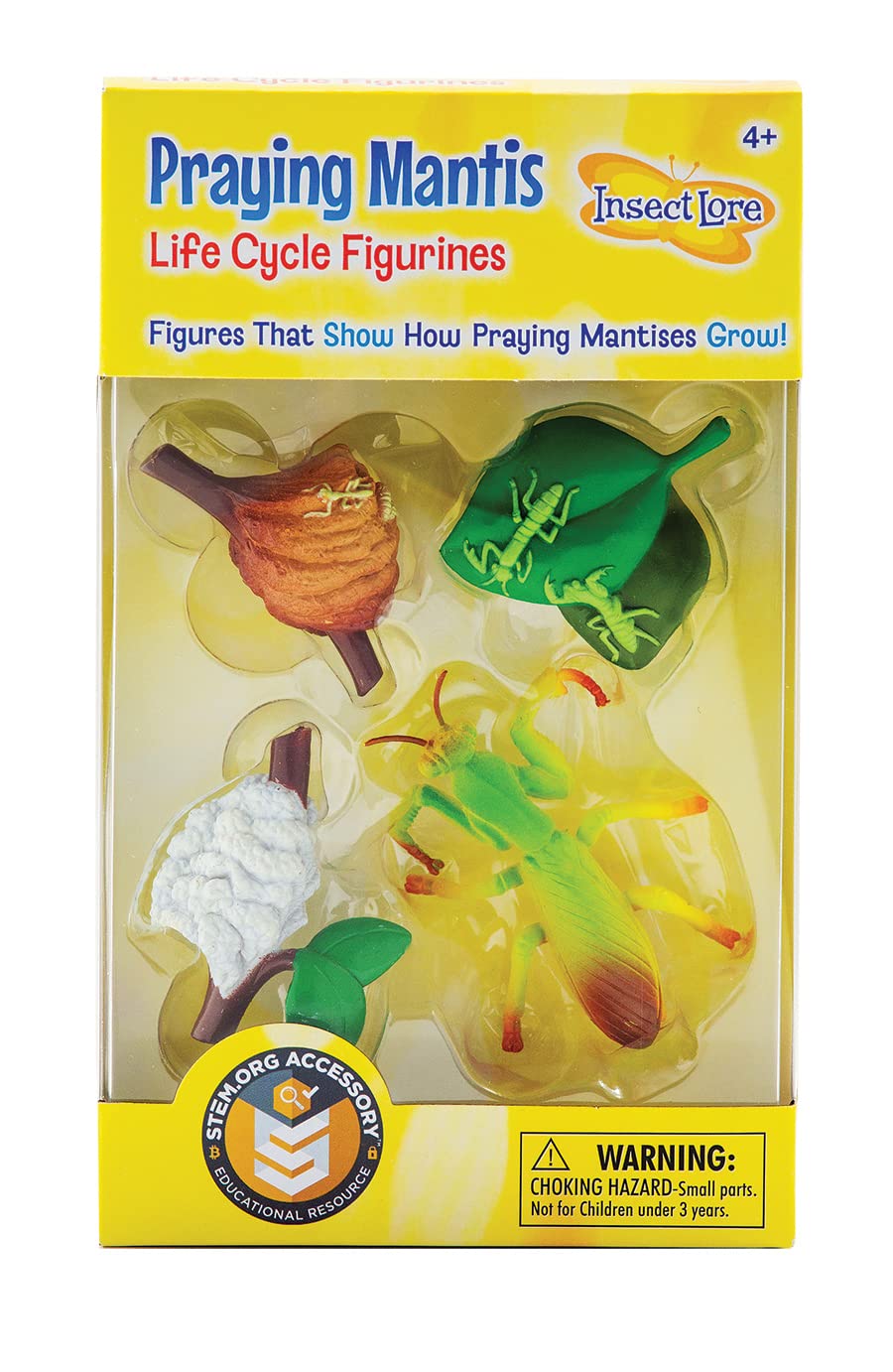 Praying Mantis 4 Piece Life Cycle Figures - 2' Bug Toys By Insect Lore