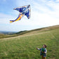 Airplane Kite For Kids & Adults Easy To Fly
