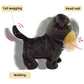 Yh Yuhung Walking And Barking Toy Dog With Remote Control Leash Puppy Interactive Stuffed Animated Dog Toys For Kids Gift(Black)