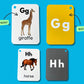 Alphabet Flash Cards For Kids, Early Learning First Word Cards For Preschool Children And Toddlers, Teach Abc Letters, English W
