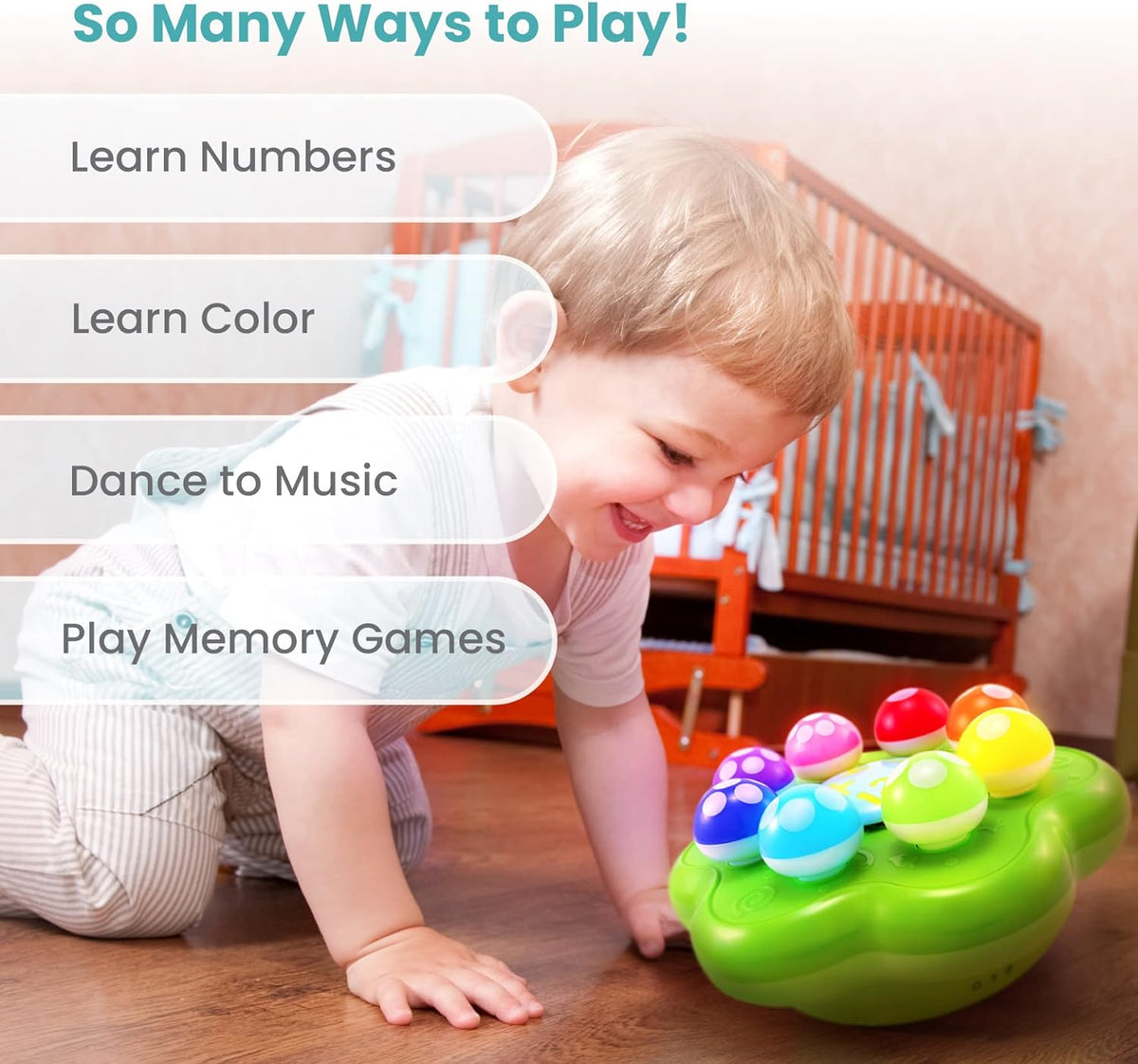 Interactive Learning Burgeon Garden