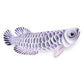 Real Planet Sea Life Plush - Arowana Realistic Soft Plush Stuffed Fish, Sealife Tropical Fish Animal Plush For Boys & Girls, (Arowana, 13') (13' Long)
