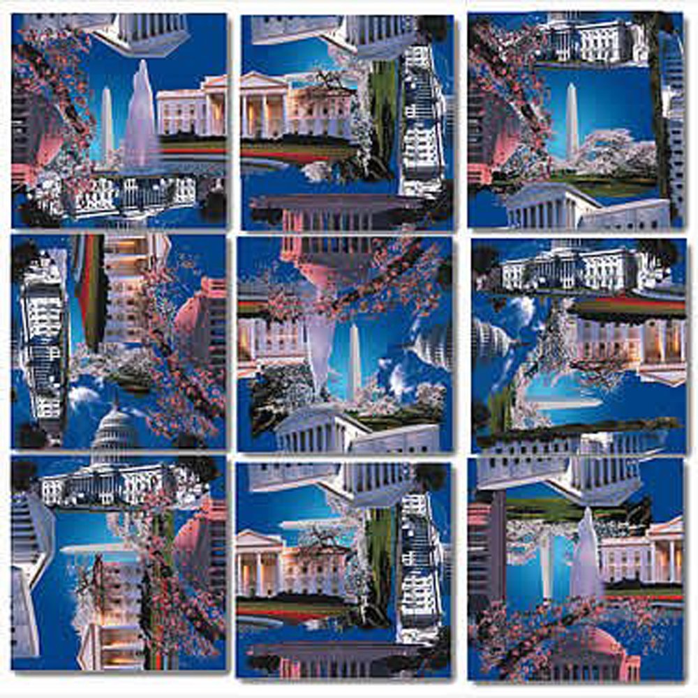 B Dazzle Washington DC Scramble Squares 9 Piece Puzzle