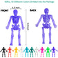 DIYASY Stretchy Skeleton Toys - 50 Pack Halloween Party Favors, TPR Material, Fun Gifts for Kids, Model DM368M4P1