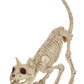 Crazy Bonez Skeleton Cat - Lil' Kitty Bonez, Plastic, Bone Color, Model Z28043
