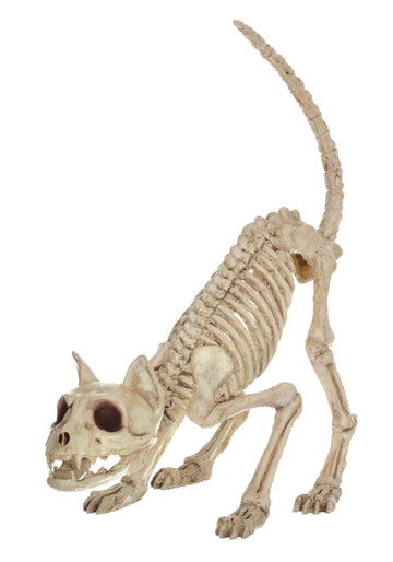 Crazy Bonez Skeleton Cat - Lil' Kitty Bonez, Plastic, Bone Color, Model Z28043