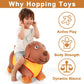 Iplay, Ilearn Bouncy Pals Dog Hopping Horse, Plush Inflatable Animal Hopper, Indoor N Outdoor Ride On Jumping Bounce Toys, Birthday Gift For 18 Months 2 3 4 5 Year Old Kids Toddlers Boys Girls