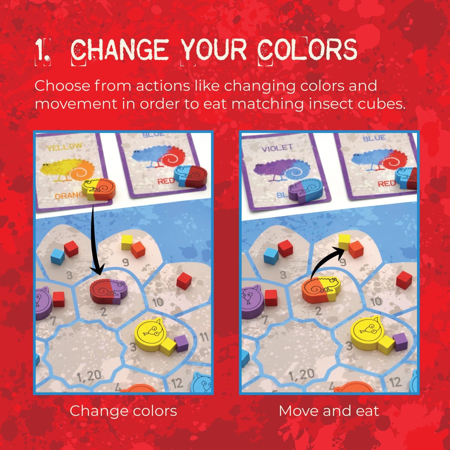 Last Night Games Life of a Chameleon | Mensa Select Strategic Board Game for Adults and Families | Eat Bugs, Avoid Snakes