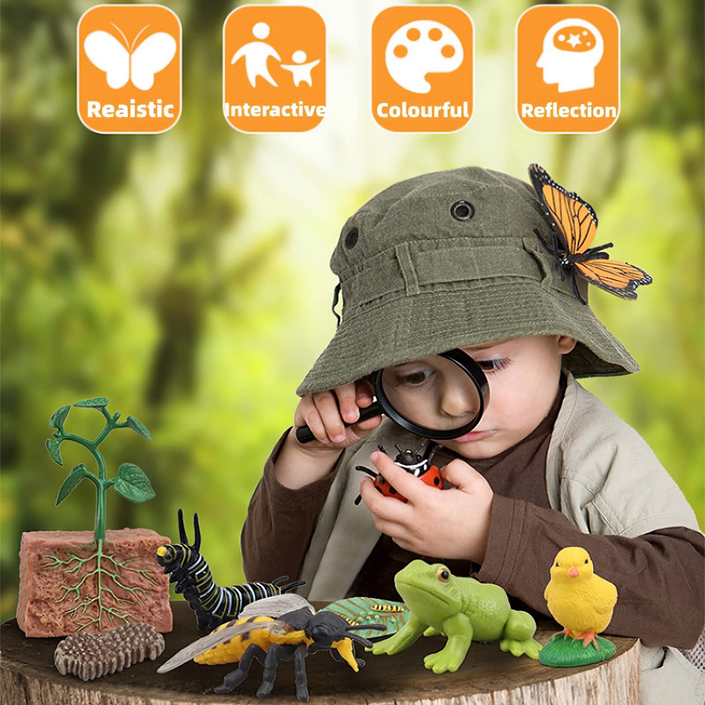 Montessori Frog Life Cycle With Flash Cards, Plastic Insects Tadpole To Frog Kit Toy, Realistic Animal Figurines (Frog)