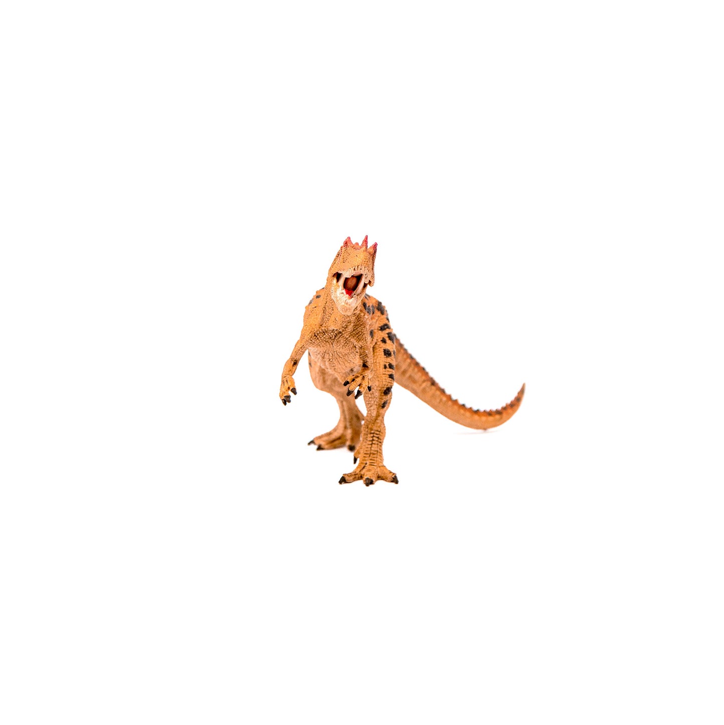 Schleich Dinosaurs, Jurassic Era Dinosaur Toys For Boys And Girls, Realistic Ceratosaurus Toy Figure With Moving Jaw, Ages 4+