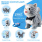 Gray Leash Walking Cat Set Toy Interactive Talking Cat Singing Dancing Kitten Mimicking Repeat What You Say Kitty Touch And Voice Control Nodding Wagging Tail Plush Electric Robot For Kid Girl