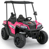 ELEMARA 24V Ride on Toy for Big Kid,Ride on Car 2 Seater w/Sun Shade,Dump Bed & Shovel,4.5MPH,4WD Electric Car for Kids,Battery