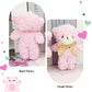Yjubaoa 12 Pcs Mini Teddy Bears Pink Teddy Bear Stuffed Animal Plush Bear Keychain Birthday Graduation Christmas Party Favor Val