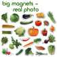 Magdum 25 Fridge Magnets For Toddlers - Vegetable Kids Magnets For Fridge - Toddler Magnets For Refrigerator - Magnetic Animals - Fridge Magnets For Kids - Animal Magnets - Toddler Fridge Magnets