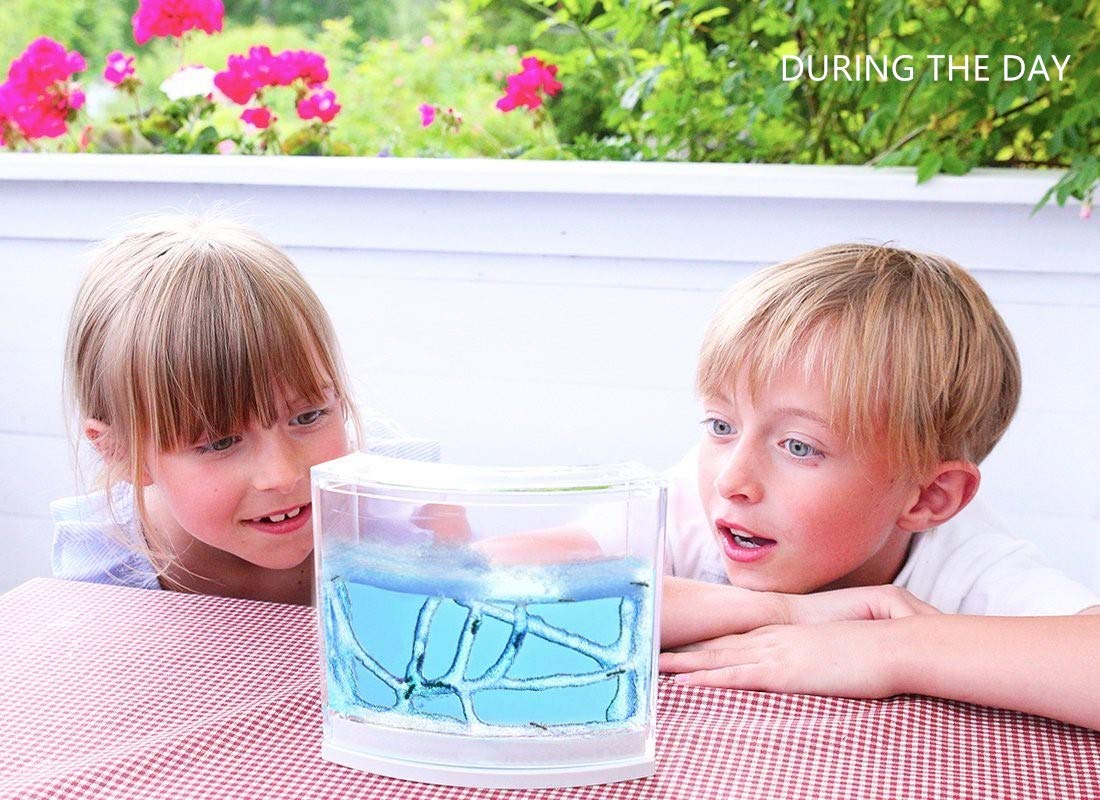 Navadeal Ant Farm Habitat For Kids W/ Led Light – Stem Toys, Educational & Science Kit With Nutrient Blue Gel, Observing Ants Create 3D Tunnels To Study Ants Behaviors & Ecosystem ( Ants Not Included)