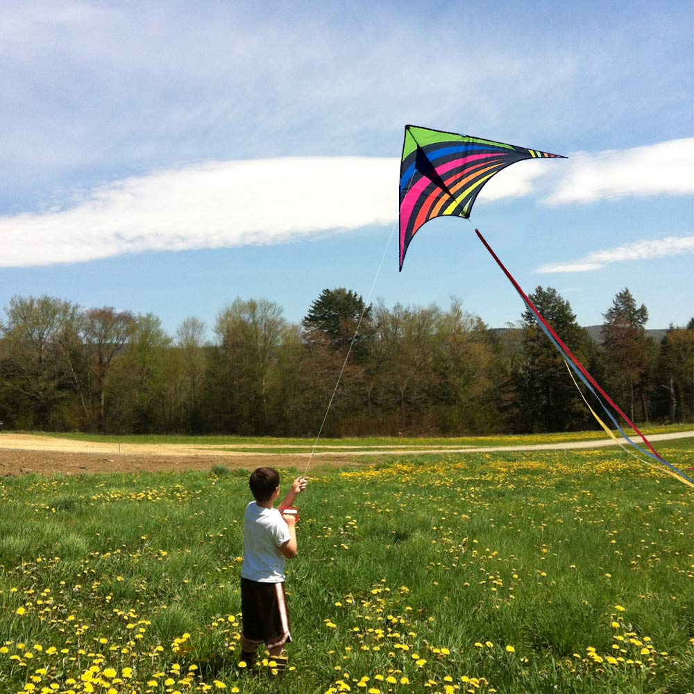Mint's Colorful Life Delta Kite - Easy to Fly, Large Multicolor Polyester Kite with 3 Ribbons & 300ft String, Model 32709293312