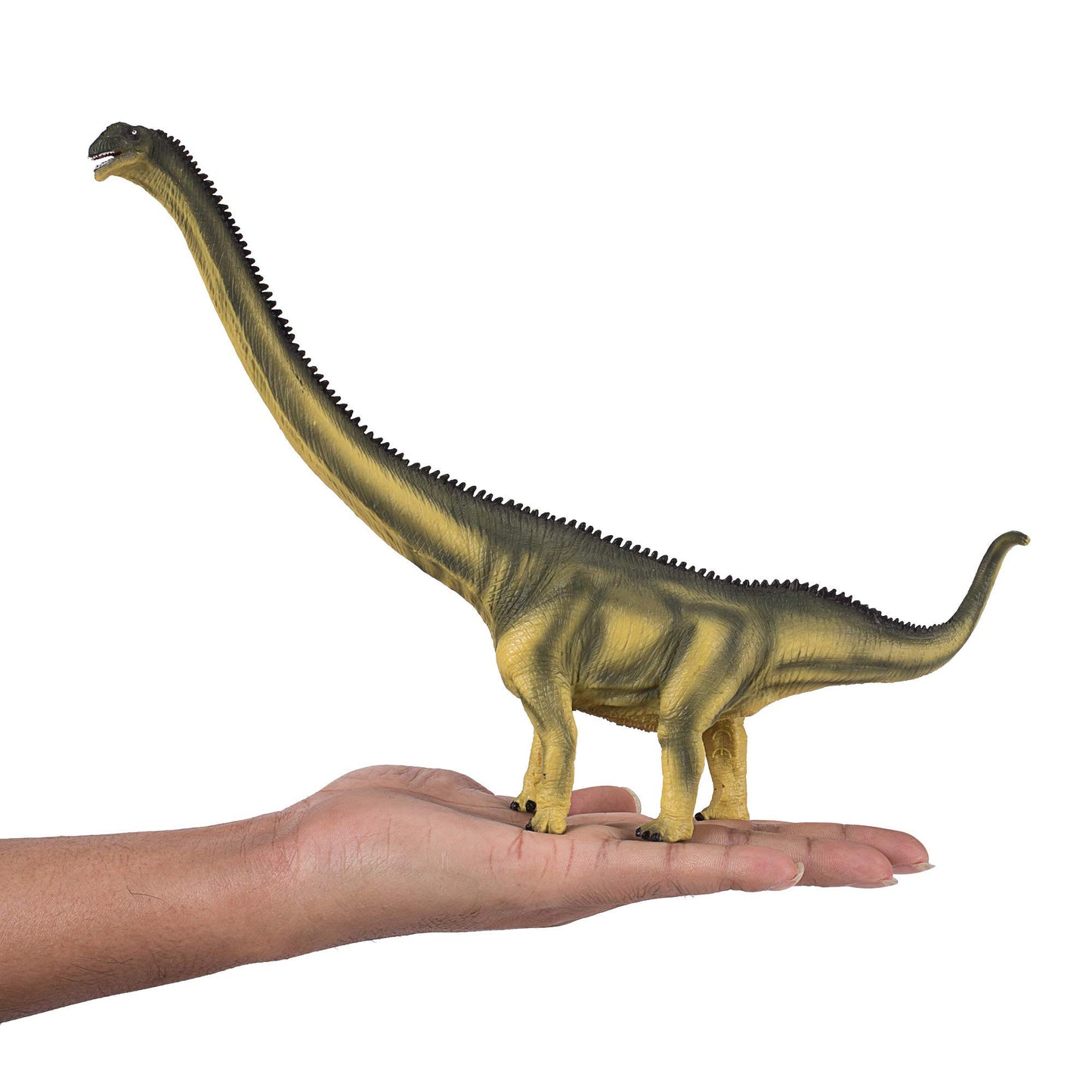 Mojo - Realistic Dinosaur Figurine, Mamenchisaurus, Green, 11 X 2.2 X 7.5