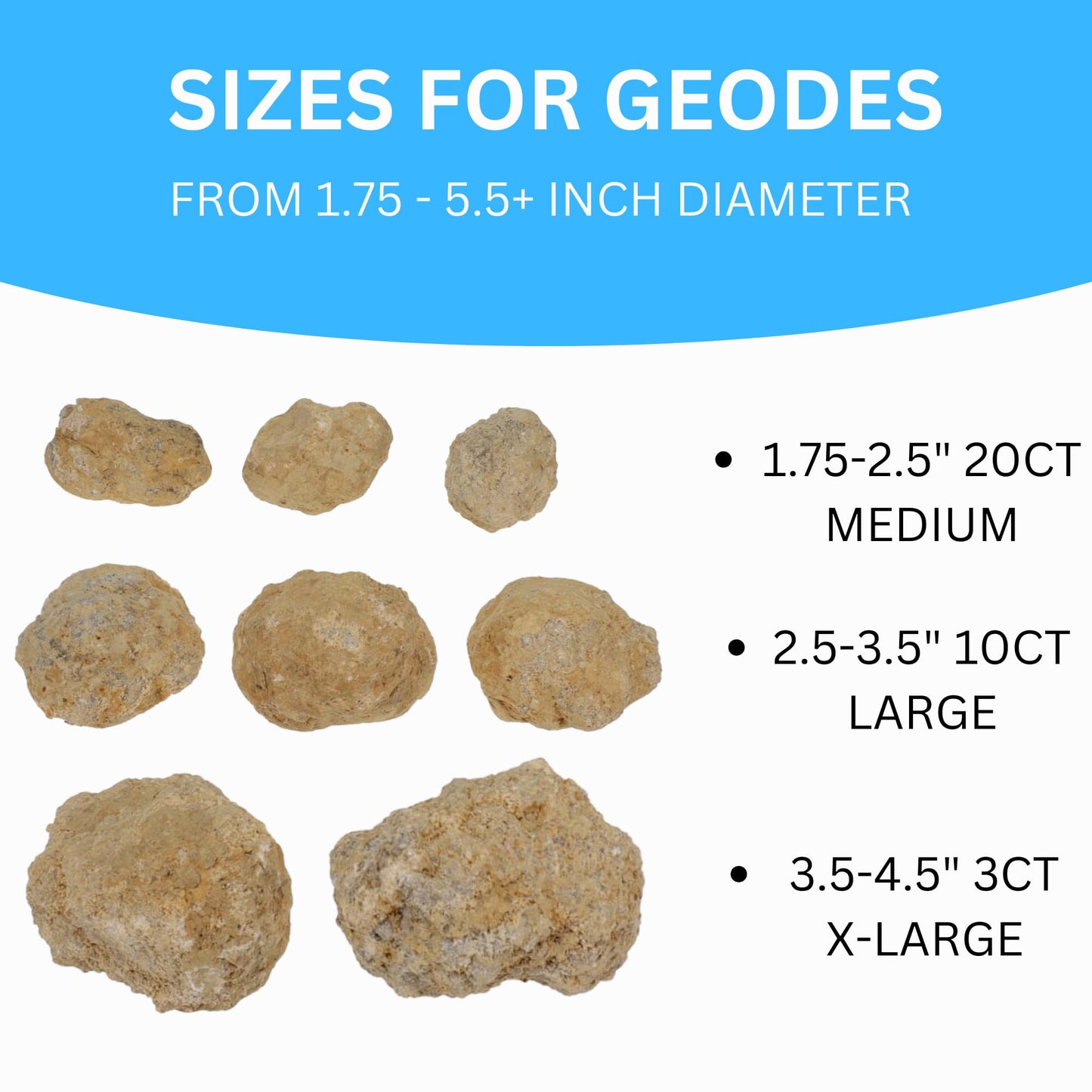 TRUENERGY Jumbo Break Your Own Geodes 2 (4.5 -5.5) enhanced Easy to Open Geode with Crystals - Includes Magnifying Glass and Instructions  STEM Science Kit
