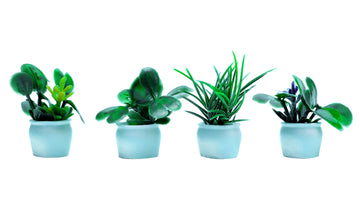 Birostiana Miniature Dollhouse Accessories 14 Pieces Miniatures Plants Flowers Bonsai Greenery Ornament For Dollhouse Fairy Gard