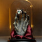WizKids D&D Icons of The Realms Eye and Hand of Vecna Figure, 7.5 inches, Bloodshot/Golden-green, Model WZK96025, Wood Material