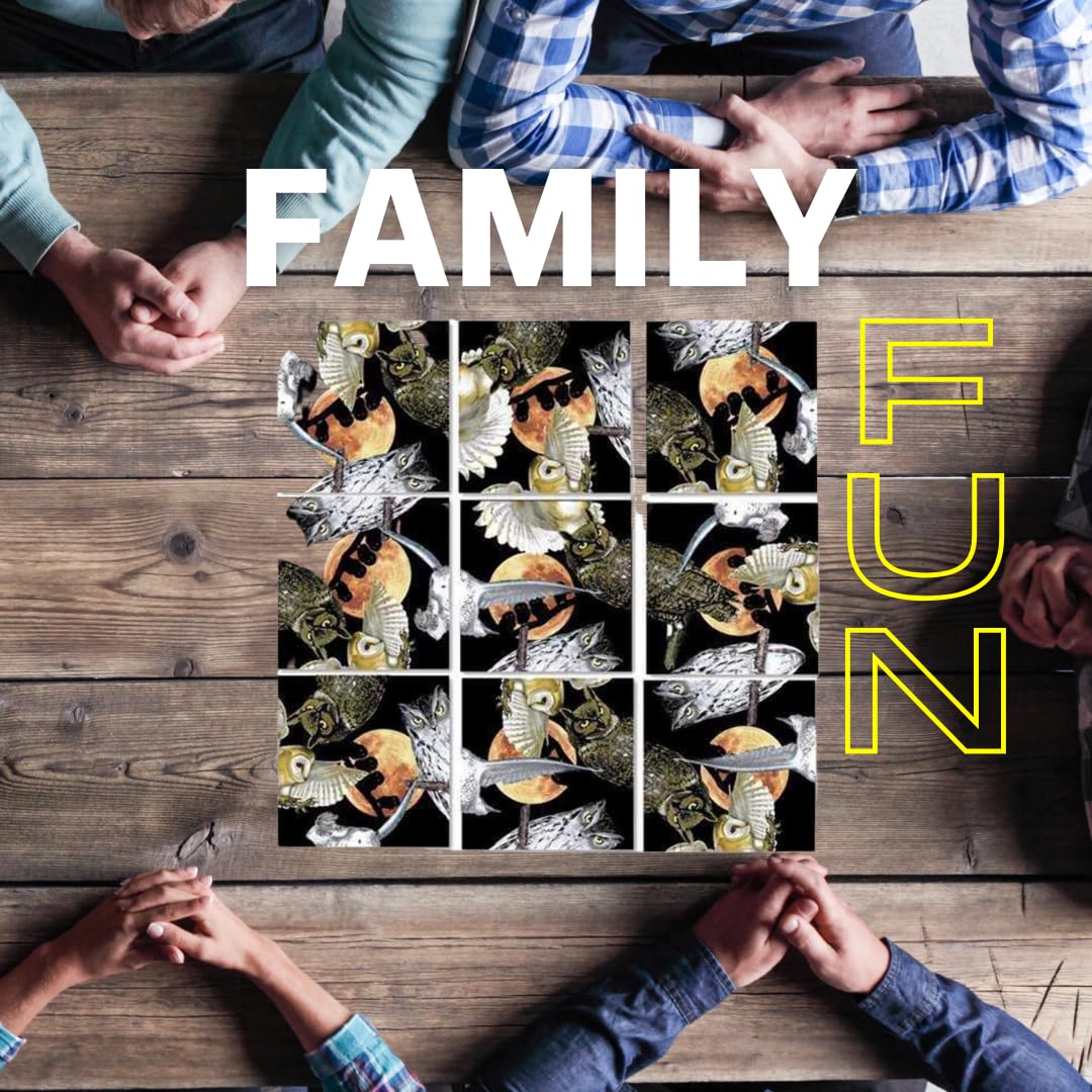 B Dazzle Owls Scramble Squares 9 Piece Puzzle