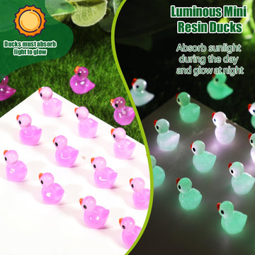 150 Pcs Luminous Tiny Ducks Mini Resin Ducks Miniature Duck Figures Micro Dollhouse Duck Accessories Landscape Gardening Decorat