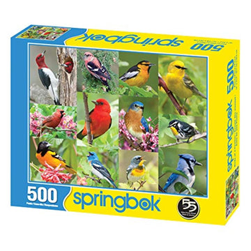 Springbok 500 Piece Jigsaw Puzzle - Birds of a Feather, 18" x 23.5" Multi-Color Collage, Engineered Wood, Model 33-01495