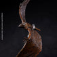 Hiya Toys Godzilla: King of Monsters - Rodan (Flameborn) Exquisite Basic Previews limited availability Action Figure