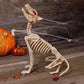 Seasons USA Crazy Bonez Animated Howling Skeleton Wolf, Off-white, Plastic, Standard Size, Model 9044148