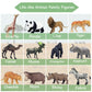 Ruson 12 Pcs Realistic Jungle Animal Figurines, Safari Animals Figures Toys Cake Topper Plastic African Wild Zoo Animals Playset Party Supplies For Kids Toddlers