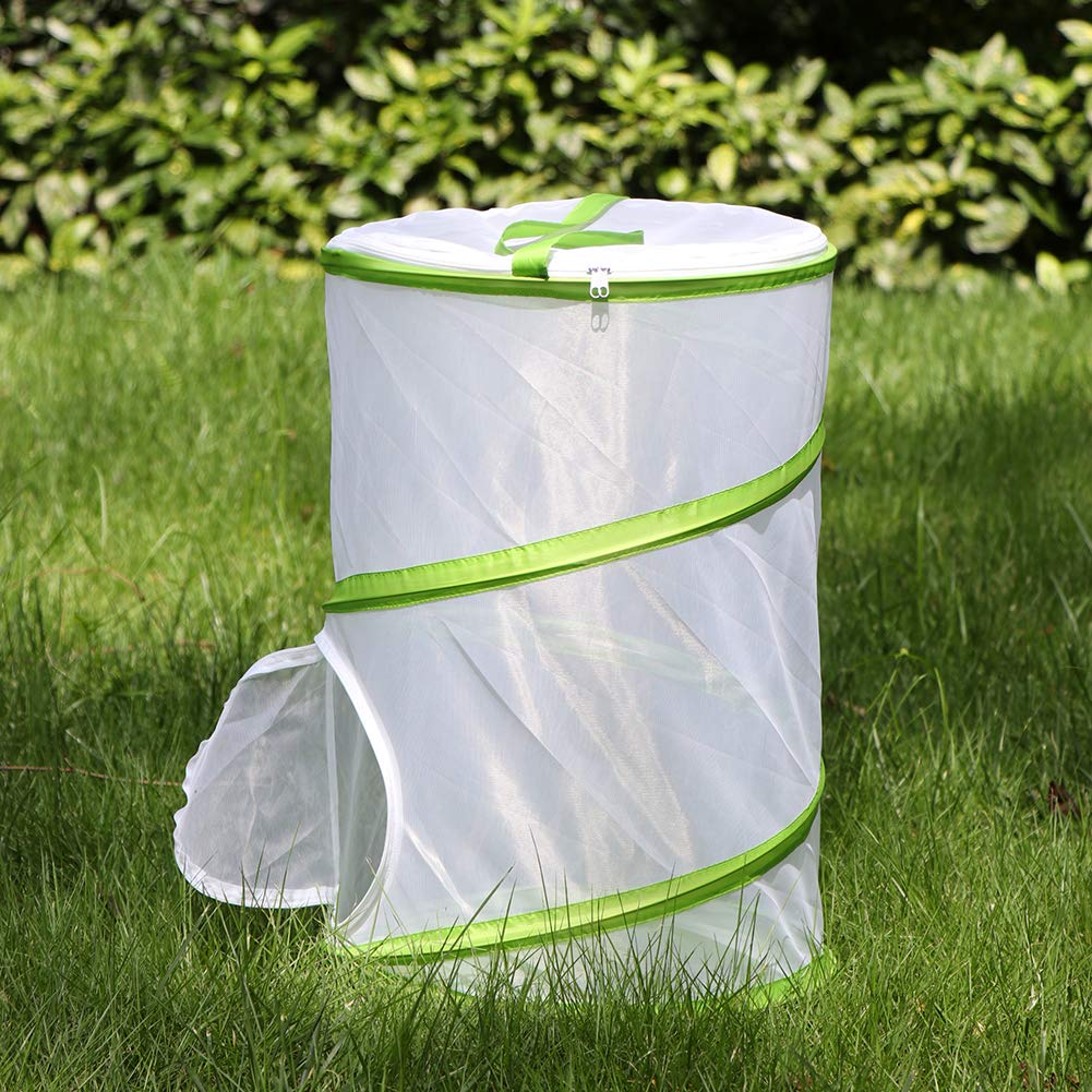 20 Large Butterfly Habitat, Giant Collapsible Insect Mesh Cage Terrarium Pop-Up 12 X 20 Tall