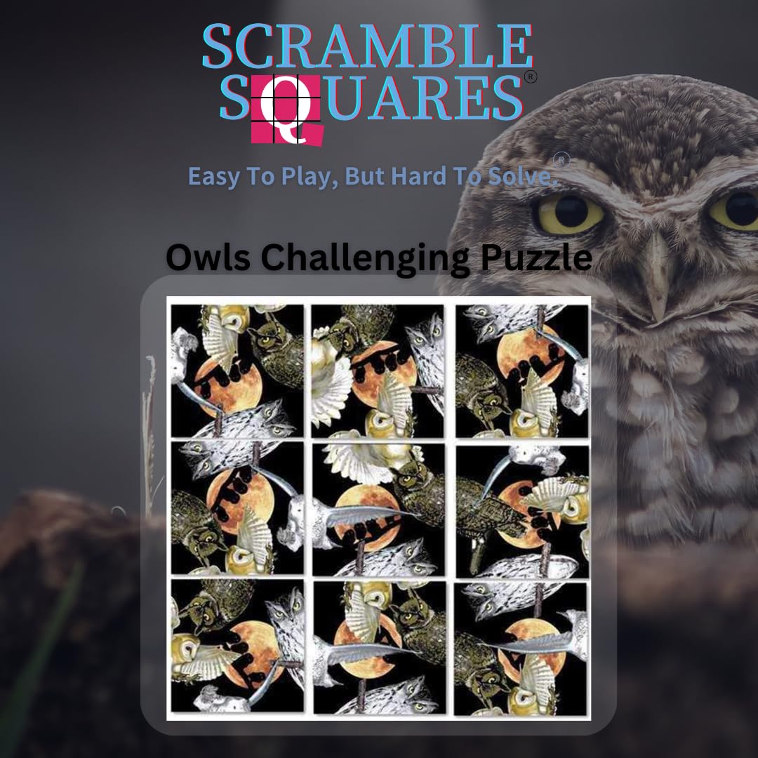 B Dazzle Owls Scramble Squares 9 Piece Puzzle