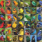 New York Puzzle Company - Cornell Lab Rainbow Of Birds - 1000 Piece Jigsaw Puzzle For Family Game Nights
