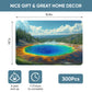 National Parks Puzzle for Kid 300 Piece  Landscape Jigsaw Puzzle  Yellowstone Park Puzzle  Spring Puzzle  Wooden Puzzle for Valentine's Day Mother's Day Puzzle Gifts for mature-themed and Teens(11.2 * 15.9in)