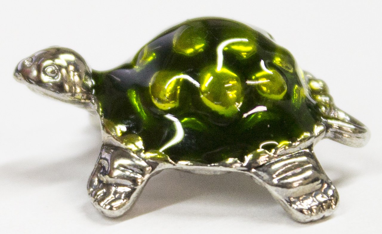 Ganz Lucky Little Turtle Charm with Story Card New Pocket Token