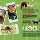 Madd Capp Puzzles Jr. - I Am Lil’ Red Panda - 100 Pieces - Animal Shaped Jigsaw Puzzle