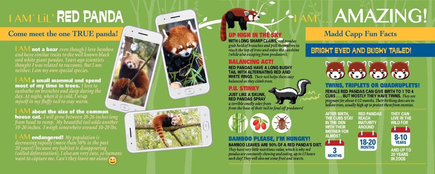 Madd Capp Puzzles Jr. - I Am Lil’ Red Panda - 100 Pieces - Animal Shaped Jigsaw Puzzle