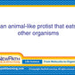 Newpath Learning Life Science Vocabulary Builder Flash Card Set, Middle School