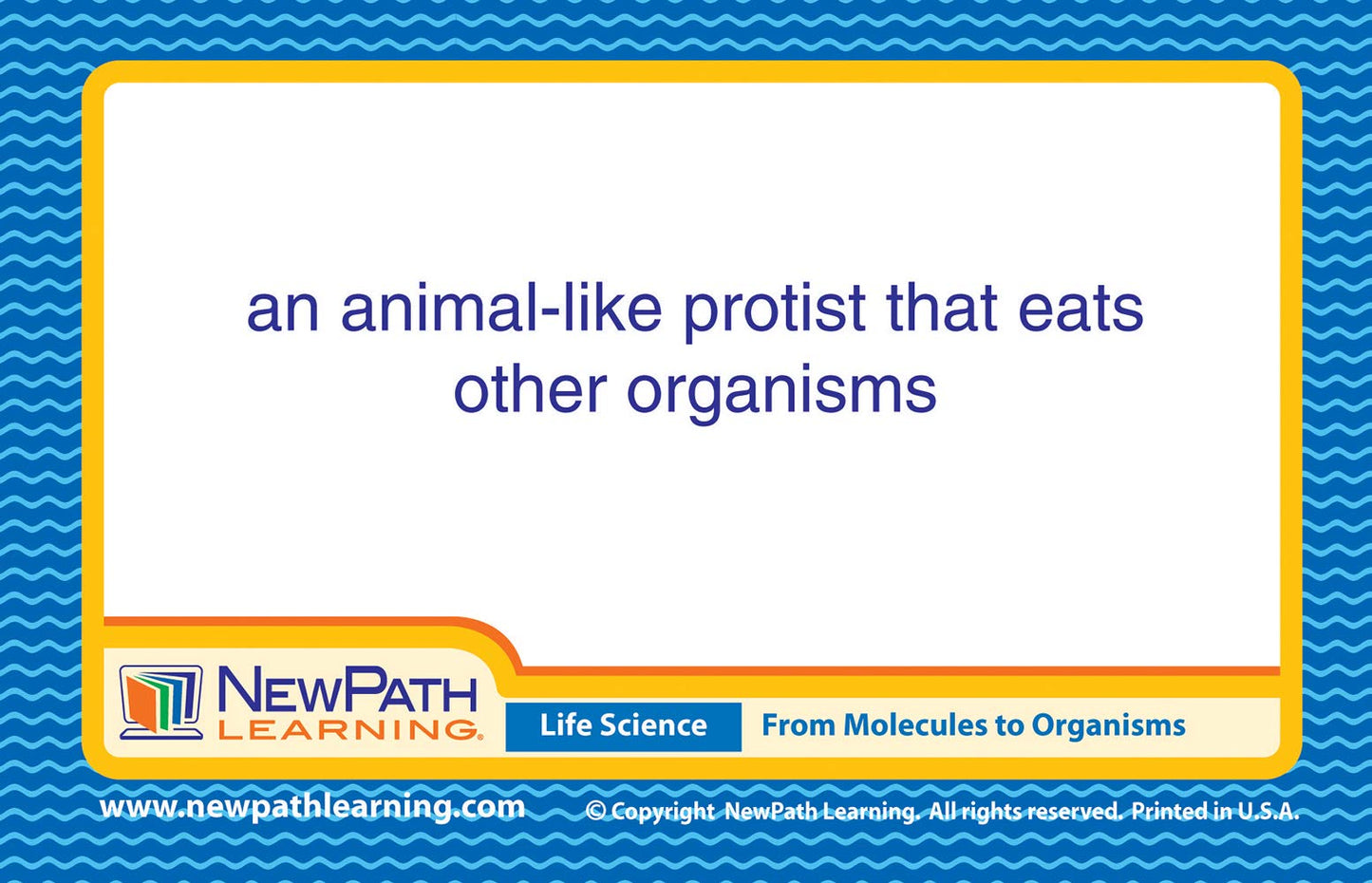 Newpath Learning Life Science Vocabulary Builder Flash Card Set, Middle School